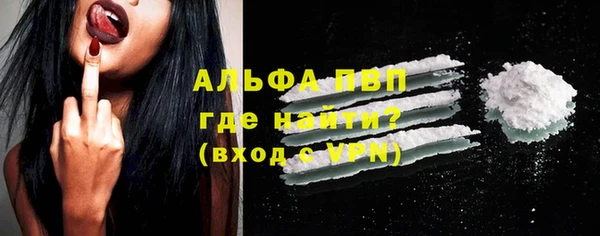 сатива Магадан