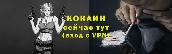 сатива Магадан