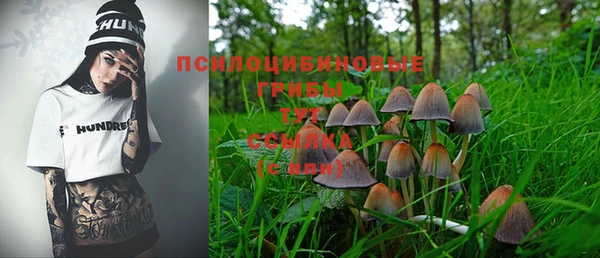 сатива Магадан
