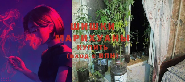 сатива Магадан