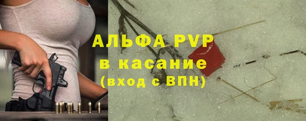 ПСИЛОЦИБИНОВЫЕ ГРИБЫ Магас