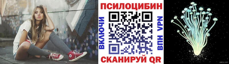 Купить  Сурск  Псилоцибиновые грибы GOLDEN TEACHER 